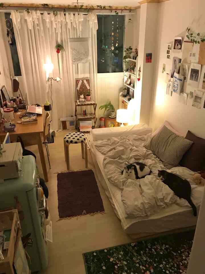 白とベージュのトーンのワンルーム寝室、2匹の猫とくつろげるベッド、机とミニ冷蔵庫が配置されたコンパクトな空間
