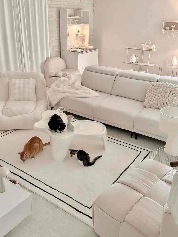 明るいホワイトトーンのリビング、白いソファとラグ、独特なサイドテーブル、3匹の猫が調和した温かなインテリア