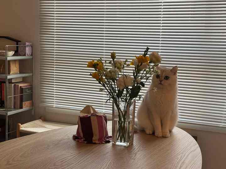 ナチュラルな木目調が特徴のリビング、ダイニングテーブルの上に花瓶と猫が置かれた温かみのある空間