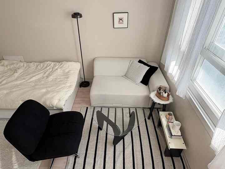 Black and white toned studio apartment living space featuring a white loveseat, black armchair, floor lamp, and striped rug with modern, minimalist design