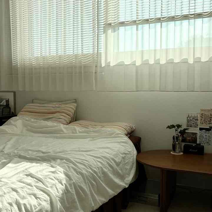 Secangkir Kelembutan di Balik Tirai

Sinar Matahari Musim Dingin yang  #따뜻한집