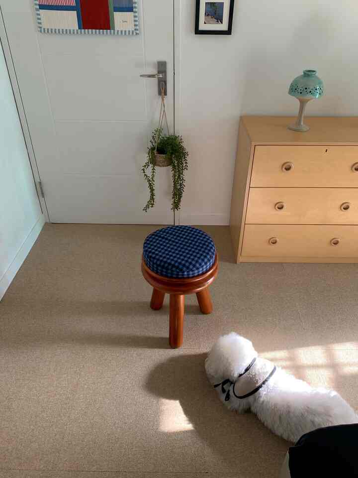 ベージュの床と白い壁の狭い部屋、中央にブルーのチェック柄のスツールと犬が横たわるシンプルな雰囲気のインテリア