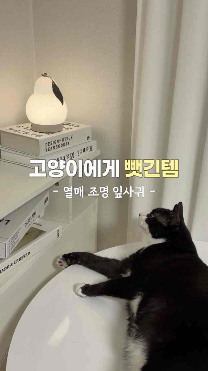ホワイトウッドのミニマルなリビングルームに革タグ付きの果実型ランプが置かれ、黒いタキシード柄の猫が白い丸テーブルの上でランプを見つめている雰囲気のあるインテリア