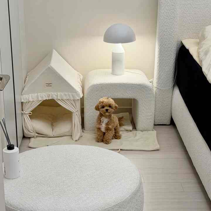 白を基調とした寝室、中央に犬と居心地の良いペットハウス、ナイトテーブルが配置された雰囲気のあるインテリア