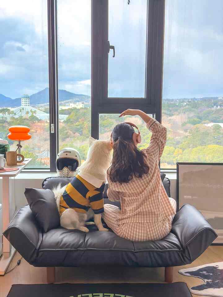 AMBO ペット ソファベッド T031［5色］を使ったコーディネート 1