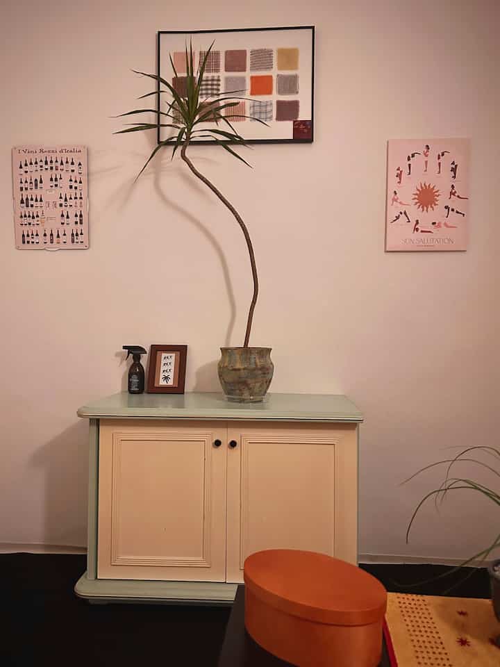 長く伸びたマジナタ🌴


ヴィンテージ収納場ヴィンテージ植木鉢ヴィンテージインテリアエンティック家具エンティック収納場エンティックインテリア  #인테리어 #홈인테리어 #룸인테리어 #온라인집들이 #오늘의집 #오늘의우리집 #방바꾸기 #선반 #빈티지선반 #마지나타 #침실인테리어 #침실스타일링 #침실스타일링 #덕구리난 #구옥주택 #구옥 #구옥인테리어 #구옥꾸미기 #구옥주방 #우드인테리어    #빈티지소품 #빈티지인테리어 #빈티지 #엔틱인테리어 #엔틱가구