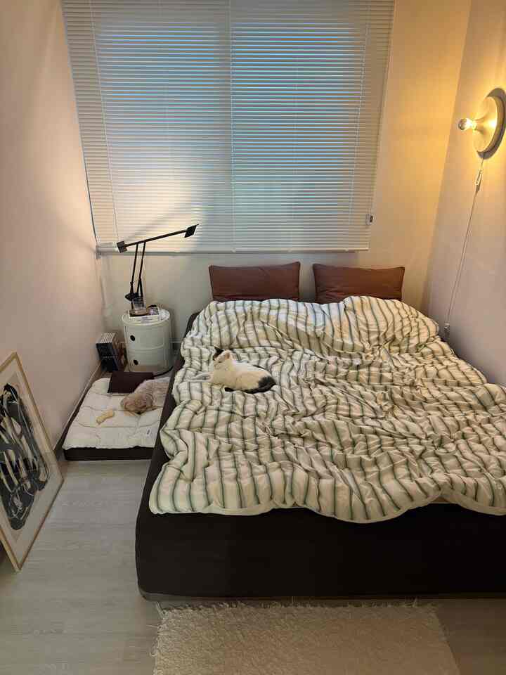 Cozy bedroom in warm brown tones featuring a brown bed with white striped bedding, white blinds on window, and a cat and dog resting on and beside the bed