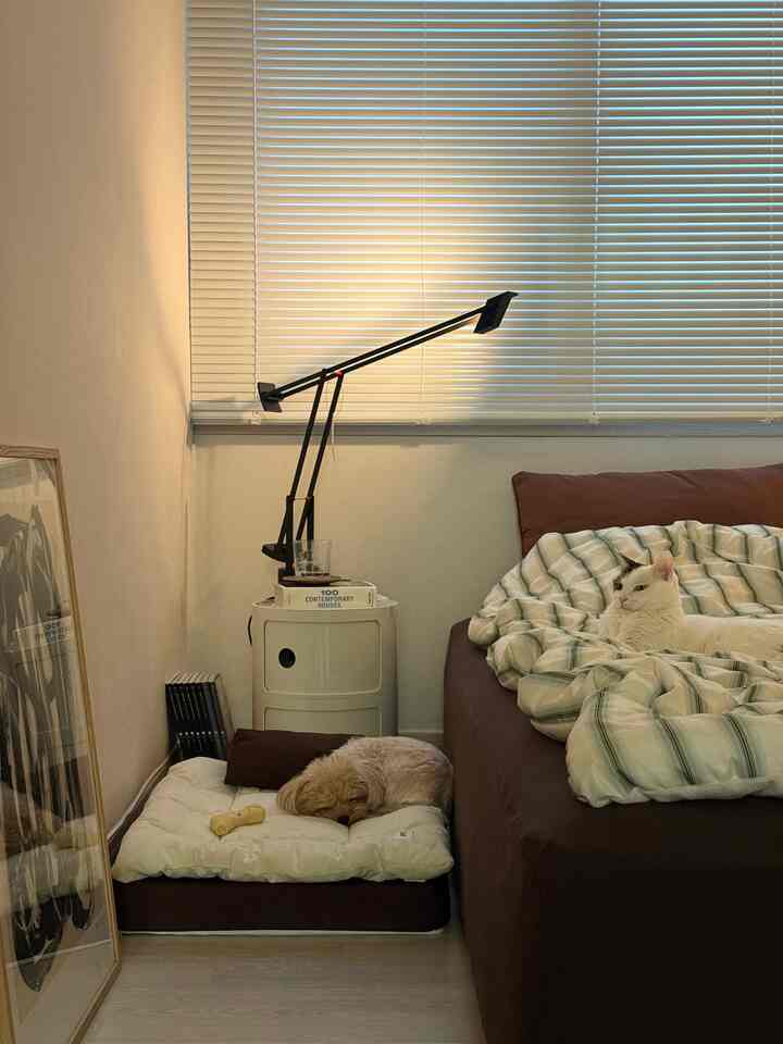 モダンなブラウンの寝室、白いアルミブラインドとナイトテーブルが配置され、ベッドとペット（犬と猫）がいる落ち着いた空間