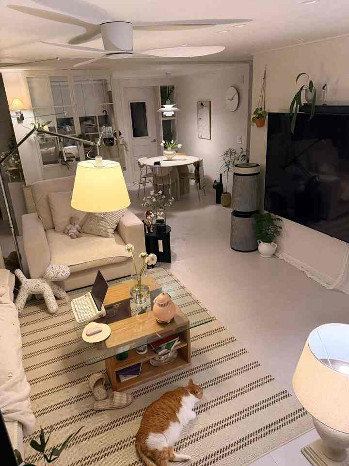 白とナチュラルカラーのリビング、ベージュのソファとラグ、床でくつろぐ猫がいる雰囲気のある空間
