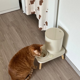 #콘수프기록집 #현명한소비 
우리집 애교냥이 카츄를 위한 고양이 잘산템🤎
1.자동급식기-시간되면 저기 앞에 앉아서 밥을 기다리는 귀여운 광경을 볼수있어요ㅎㅎ
2.보들보들한 러그 -누워도 있고, TV도 보고 뒹굴거리며 놀기도 하는 공간
3.스크래쳐 - 안에서 자기도하고 긁으며 놀기도 하는 공간
4.숨숨집&캣타워 - 카츄의 놀이공간
점점 늘어가는 냥이용품들💛그치만 너가 행복하다면😍
#고양이스크래쳐 #고양이가사는집 #냥템 #냥테리어
#숨숨집 #캣타워 #캣타워추천 #거실러그
#세리프tv #자동급식기 #고양이인테리어 #맞팔 #맞팔환영 #맞팔해요 