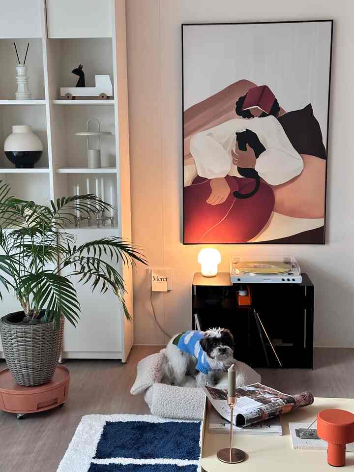 白とネイビートーンのリビング、犬とペットベッド、モダンな家具が配置された印象的な空間