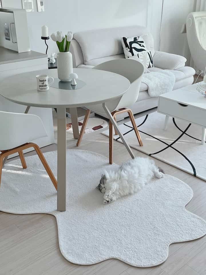 White and natural color living room featuring a white sofa, round table, and a cat in a clean and simple setting
