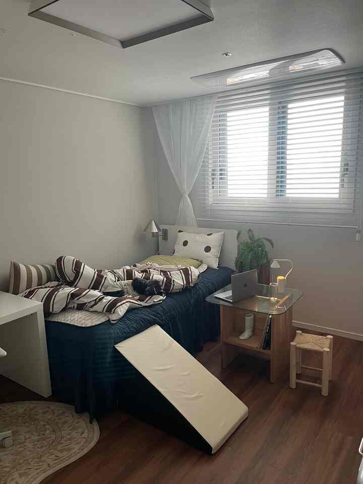 ナチュラルな木目調の床とブラインドがある寝室、犬と暮らすホームオフィス空間