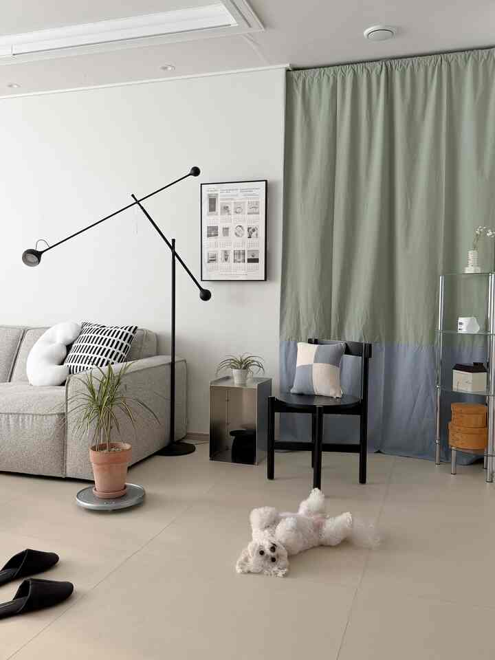 ナチュラルカラーとグレー、ブラックが調和したリビング、床に寝そべる犬、モダンな家具とフロアランプが配置された落ち着いた空間