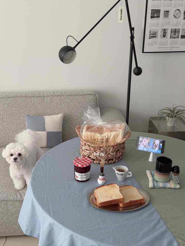 グレーのソファとフロアランプが配置されたリビング、丸いテーブルにパンとコーヒーがあり、白い犬がソファに座る雰囲気のある空間