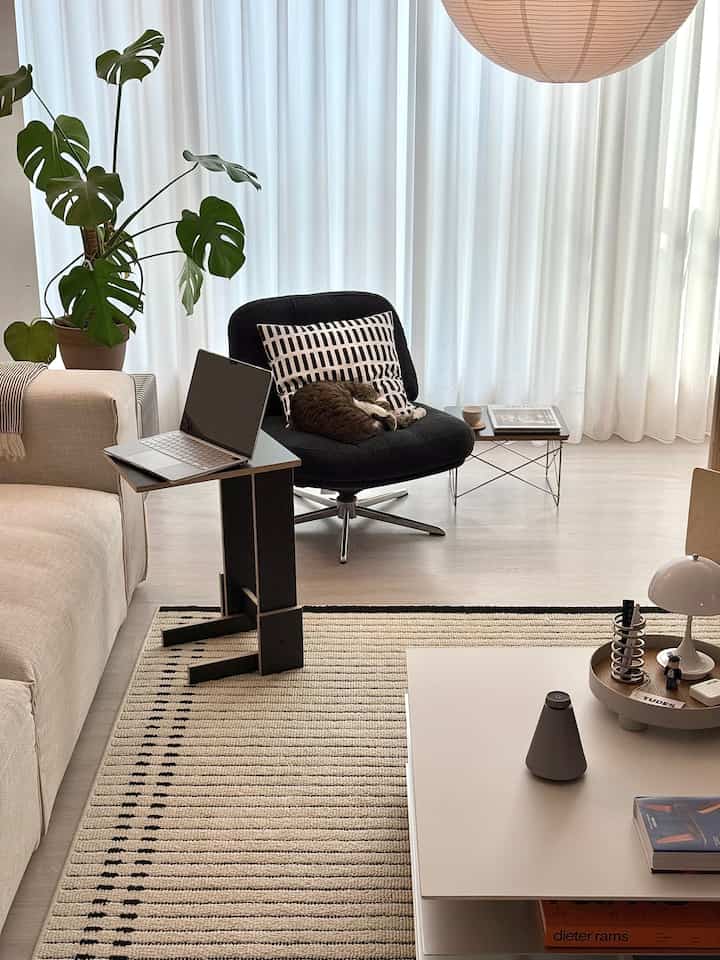 白と黒のトーンのリビングルーム、ラウンジアームチェアとラグ、サイドテーブルの上にノートパソコンと猫がいる落ち着いた空間