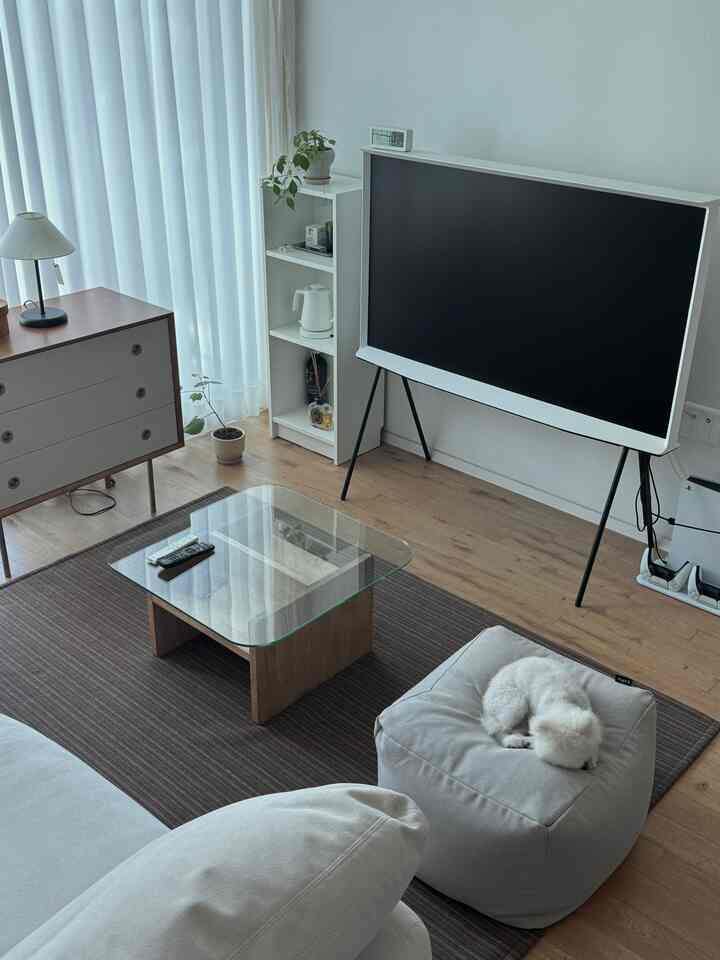 白とナチュラルカラーのリビング、ソファとペットのいるビーズクッション、コーヒーテーブル、モダンなテレビが配置された落ち着いた雰囲気のインテリア