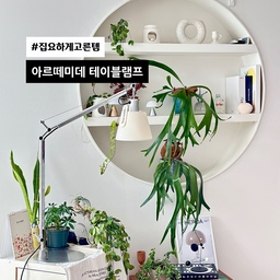 #집요하게고른템 #집요한세일  #아르떼미데조명 
Artemide Tolomeo Basculante Table Lamp
집요하게고른템, 정말 말 그대로 몇 달을 고민하고 선택한 조명이에요. 한 번 사면 오래 쓰는 가구나 조명은 특히 더 신중해지잖아요. 
유행 타지 않으면서도 공간 분위기를 확 살려줄 아이템을 찾다가 결국 아르떼미데 톨로메오 바스큘란테 테이블램프로 정착했답니다.
✔️왜 집요하게 고민했냐면요
조명은 단순히 밝기만의 문제가 아니더라고요. 
우리 집 무드까지 좌우하는 요소라 디자인, 활용도, 내구성까지 다 따져봤어요. 몇 년이 지나도 질리지 않는 디자인인지, 공간을 옮겨도 자연스럽게 어울릴지 계속 상상해봤고요.
결론은 “역시 클래식은 이유가 있다”였어요. 
군더더기 없는 실루엣에 패브릭 갓이 더해져서 따뜻하면서도 세련된 분위기를 만들어줘요. 오늘의집감성 좋아하시는 분들이라면 아마 보자마자 고개 끄덕이실 거예요.
✔️후회 없는 이유 
1. 어디든 이동 가능
아르떼미데 톨로메오 바스큘란테 테이블램프의
가장 큰 매력은 이동이 자유롭다는 점이에요. 
테이블 위에서 책 읽을 때 사용하다가, 거실 사이드장으로 옮겨 무드등처럼 써도 어색하지 않아요. 가볍게 위치만 바꿔줘도 공간 분위기가 확 달라져서 인테리어 소품 역할까지 톡톡히 해내요.
2. 유연한 관절
톨로메오 시리즈의 상징 같은 관절 구조, 직접 써보니 왜 유명한지 알겠더라고요. 각도 조절이 부드럽고 섬세해서 빛이 필요한 방향으로 정확하게 맞출 수 있어요. 
독서할 때는 낮게, 무드 연출할 때는 살짝 위로 올려서 사용하면 분위기가 달라져요. 손에 힘 거의 안 들이고 조절 가능해서 매일 써도 불편함이 없답니다.
3. 몇 년이 지나도 질리지 않는 디자인
유행하는 디자인은 예쁠 수는 있어도 오래 두면 질리기 쉬운데, 아르떼미데는 다르더라고요. 
미니멀하면서도 아이코닉한 디자인이라 시간이 지나도 촌스럽지 않아요. 오히려 공간에 깊이를 더해주는 느낌이에요. 원목 가구, 화이트 벽, 식물과도 자연스럽게 어우러져서 어떤 인테리어에도 스며들어요.
집요하게고른템, 결국은 만족😉
가격 때문에 망설였던 시간이 무색할 만큼 만족도가 높아요. 매일 쓰는 조명이라 더더욱 “잘 샀다”는 생각이 들어요. 집요한 고민 끝에 선택한 이유가 결국 매일의 편안함으로 돌아오더라고요.
조명 하나로 공간 분위기를 바꾸고 싶으신 분들께, 그리고 오래 두고 써도 후회 없을 집요하게 고른템 찾고 계신 분들께 자신 있게 추천드려요. ✨
#집요하게고른템 #아르떼미데 #톨로메오바스큘란테 #테이블램프추천 #오늘의집감성 #미니멀인테리어 #조명추천 #오늘의가든 #맞팔 #아르떼미데이렇게써요 #아르떼미데바스큘란테 #거실조명 #테이블조명 #맞팔 #감성조명 #실버조명 #쇠테리어 #쇠테리어템 #조명추천
#내돈내산추천템 #오늘의집에서샀어 
