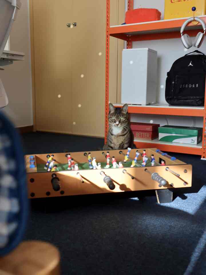 オレンジの棚と猫がいるコンパクトなゲームルームの雰囲気あるインテリア