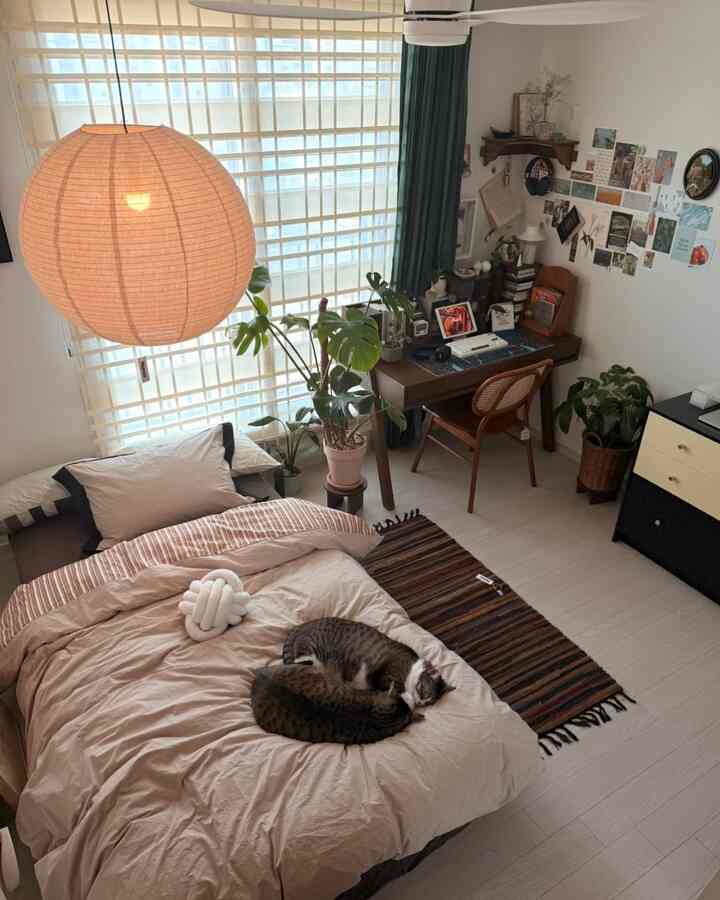 Beige and brown toned bedroom featuring wooden desk by window and two adorable cats sleeping cozily on bed