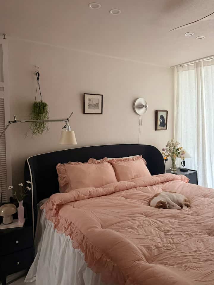 柔らかなベージュの壁とピンクの寝具が配置された寝室、窓際のベッドに丸まった猫がいる雰囲気のあるインテリア