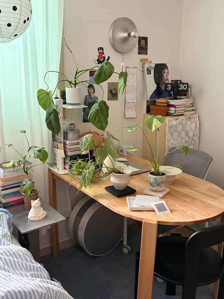 ホワイトと木目調が調和するワンルームのホームオフィス、デスク上の植物と整理された配置が印象的な居心地の良い作業空間