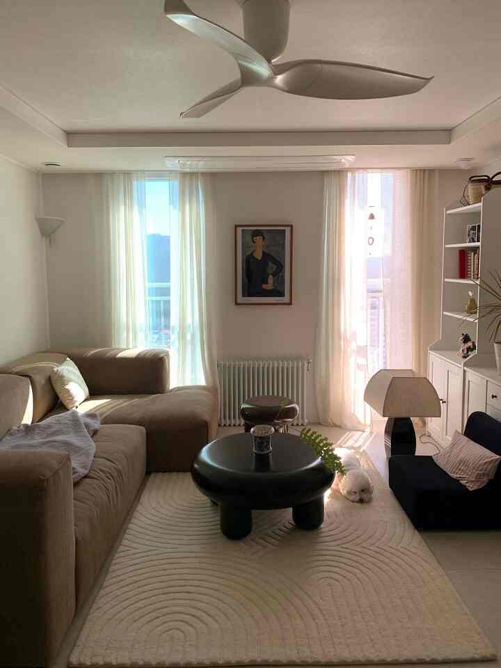 クリーム色のラグの上にブラウンのソファと中央に黒いコーヒーテーブルが配置されたアパートのリビング、小さな犬がいる雰囲気のあるインテリア