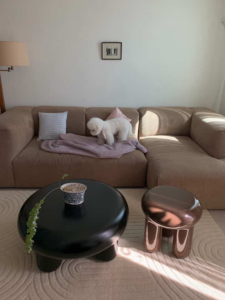 ブラウンのソファと黒いコーヒーテーブル、小さな金属製のサイドテーブルが配置された居心地の良いリビング、ソファの上に白い犬がいる