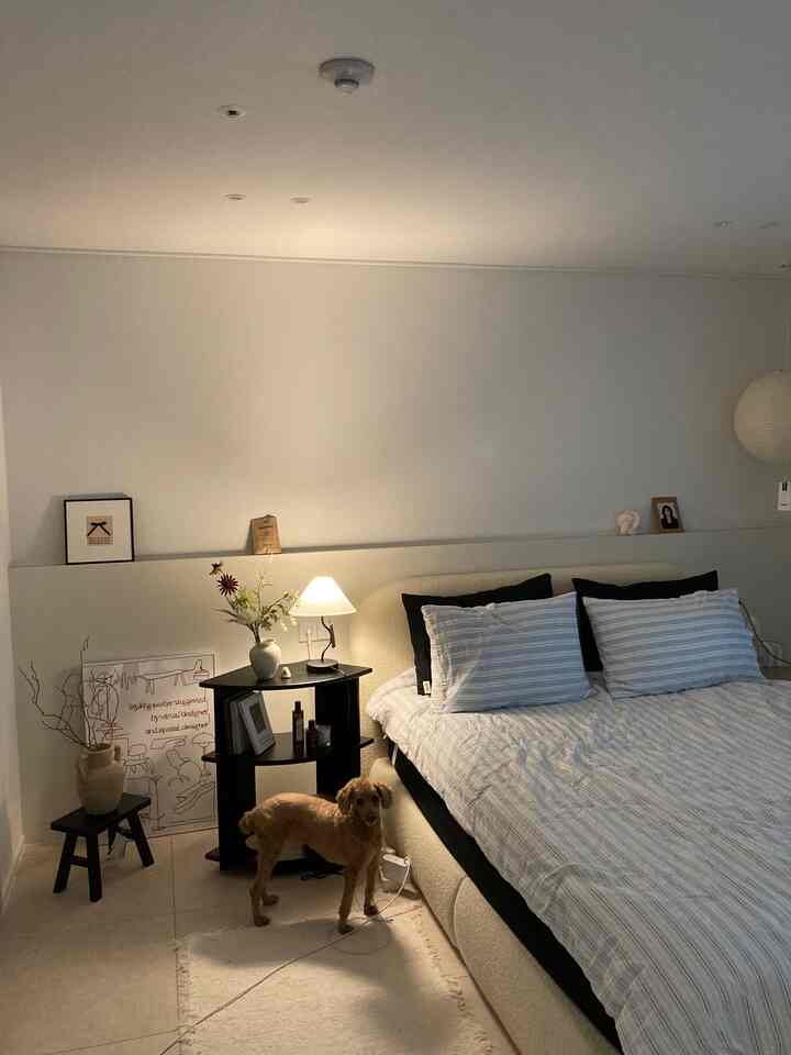 白とベージュのモダンな寝室、大きなベッドとペットの犬が居る落ち着いた空間