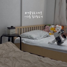 #겨울집로그아웃
아이 하교 전, 저에게 주어진 골든타임 1시간 반! ⏰
오늘은 큰맘 먹고 아이들 침대방 '디버깅' 좀 했어요. 🛠️
오친님들 사실 저는 
전 세계 수억 명이 보는 
LG전자 TV 넷플릭스 앱을 개발하던 엔지니어였어요. 
밤새 코드를 짜며 버그를 잡던 게 일상이었는데, 
지금은 매일 디버깅이 필요한 두 아들을 키우며 🤣
예쁜 집을 꾸미고 집안의 버그(먼지!)를 잡는 엄마로 열심히 살고 있답니다. 😊
엔지니어 출신이라 그런지 가전 하나를 골라도 
가성비 뿐만 아니라 성능, 효율을 깐깐하게 따지는 편이에요.
제가 쓰고 있는 다룸 침구청소기는 
정말 만족스러운 제품이에요.
ㅡ 눈에 안 보이는 미세먼지까지 스캔해서 쏙 빨아들이는 게 거의 완벽한 디버깅 수준이에요!
ㅡ 단순히 먼지만 터는 게 아니라 UV살균까지 해주니 아이들 호흡기 걱정이 싹 사라지더라고요.
ㅡ 출산 후 제가 손목이 매우 약한데 무리 없는 핸들링 덕분에 침대 두 개 밀어도 에너지가 남아요. 
무거운 겨울 먼지 다 털어내고 나니 아이들 숙면 알고리즘 설계도 끝! 💻 
겨울의 묵은 침구 먼지 시원하게 로그아웃하고 싶은 분들께, 
엔지니어 엄마가 자신 있게 추천해요! 🤍
이제 첫째 올 시간이 다되어 가네요 🤣
모두 오늘 하루 화이팅하세요!!! :-)
#다룸침구청소기 #침구청소기추천 #살림꿀팁 #아이방꾸미기 #구축인테리어 #아이있는집 #구축리모델링
#아이방인테리어 #청소템 #청소용품 #청소정착템 #청소도구 #청소꿀팁 #청소하는날