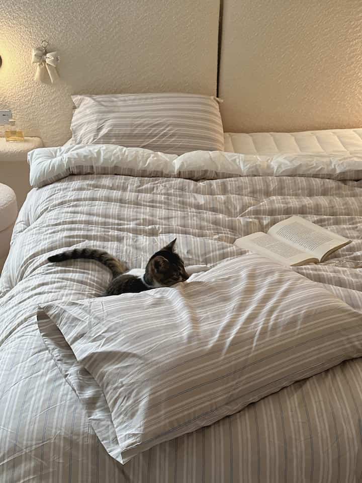 ナチュラルな色調の寝室、ストライプの寝具と枕が配置されたベッドに猫と本があり、落ち着いた雰囲気のある空間