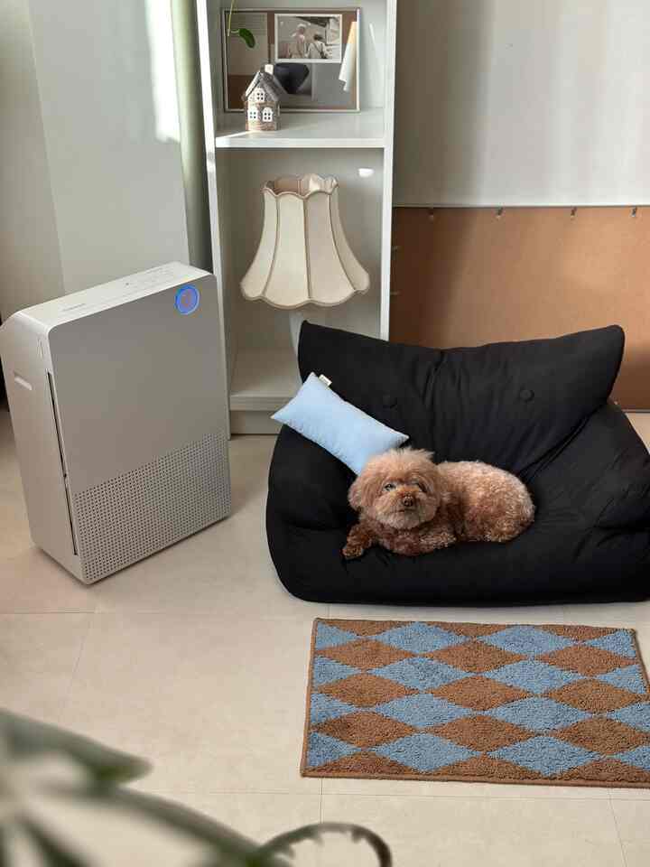 白と黒のトーンのリビング、黒いソファに犬が横たわり、大型の空気清浄機とヴィンテージ風のランプが配置された落ち着いたインテリア