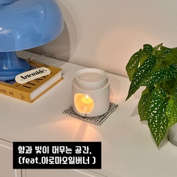 아로마테라피로 완성한 은은한 무드 인테리어
“하루 끝, 조용히 불빛을 켜두는 것만으로도
 분위기가 달라져요.”
아로마오일버너는 아로마테라피 아이템이면서 
작은 무드등 역할도 해줘요. 전기 없이 티라이트로 사용하니 자리 이동이 쉽고, 거실, 주방, 침실 등 오브제처럼 어디에 두어도 잘 어울려요🤍
은은한 향을 맡고 있으면 긴장이 조금씩 풀리고, 
생각도 차분해지는 느낌이 들더라고요. 
복잡했던 하루가 정리되는 기분이 들어 
요즘 하루 끝 루틴이 되었답니다🕯️
#예쁜템최고야 #콘수프기록집 #아로마테라피 #아로마오일 #아로마오일버너 #아로마버너 #아로마램프 #에센셜오일 #맞팔 #가든데이즈 #향테라피 #향테리어 #루틴 #오늘의가든 #감성소품 #클램 #티코스터 #무드있는공간 #무드인테리어 