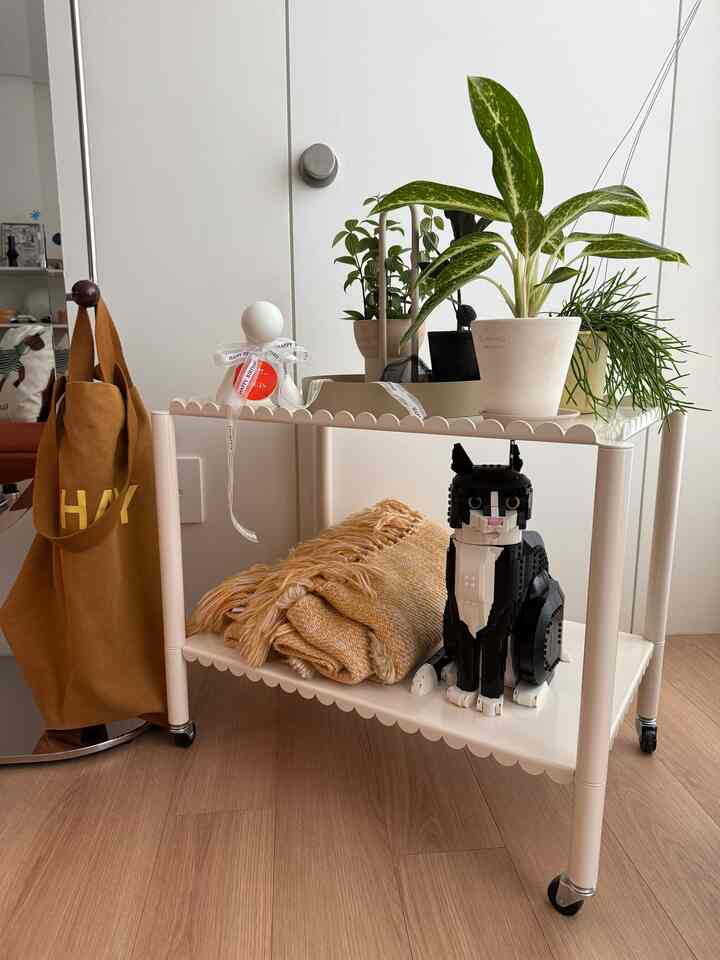 ＃コンスープ記録集＃今日の私たちの家

植物もそれなりに成長しています。
レゴ猫が守っている今日のリビングルーム🖤

#トロリー#リビングインテリア 