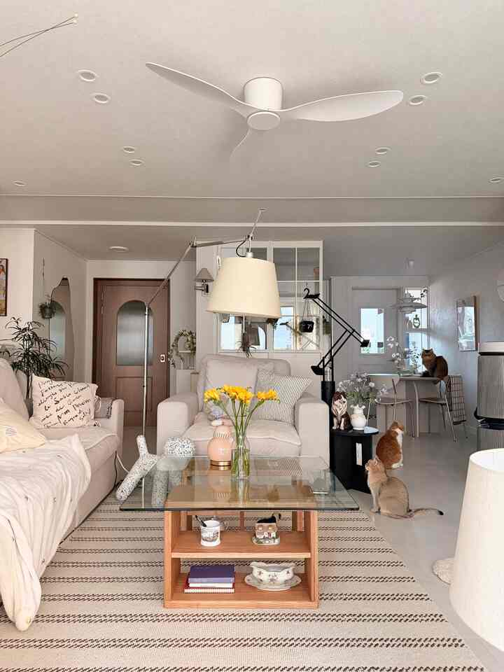 白とベージュの色調のリビング、ソファとラグ、猫たちが温かな雰囲気を醸し出すナチュラルなインテリア