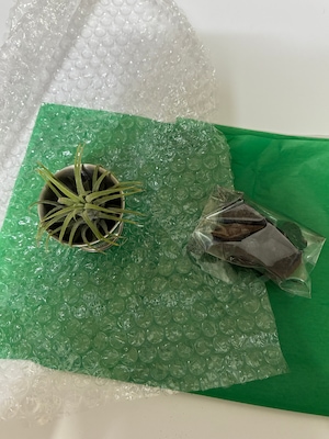 Review 1