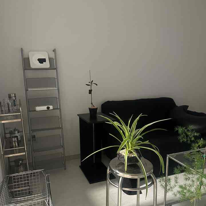 Mengincar anggrek kupu-kupu baru

Bayi buas, astaga!

#InteriorHitam #블랙가구 #무채색 #무채색인테리어 #식물인테리어 #맞팔 #큐레이터 #집꾸미기 #자취 #자취방인테리어 #혼자사는집 #잘산템 #우리집포토존 #오늘의우리집 #오늘의집 #마이페이지꾸미기 #우리집자랑 #우리집포토존 #미드센츄리 #블랙 #ftc9기이야기 #ftc9기