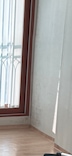 게시글 미리보기 이미지 1