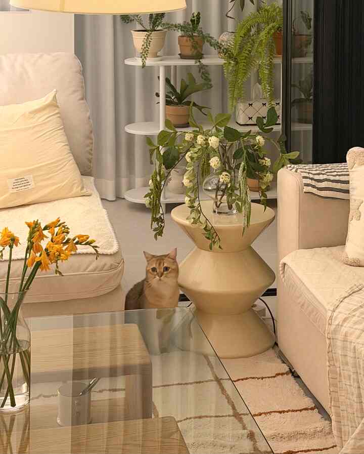 柔らかなベージュ色調のリビング、快適なソファと円筒形のスツール、植物やラグが配置された雰囲気のあるインテリア