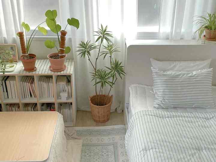 たぶん、植木鉢のように色が合いました。
グリーン＆アイボリー＆ブラウン🪴🛌🍵🍃🥑

＃インテリアノウハウ＃カラーインテリア＃コーンスープ記録集

