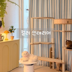 #컬러인테리어 #고양이방 
냥이들 방 커튼을 바꾸고 싶었는데
이번에 드롭드롭드롭 커튼으로 드디어 바꿔줬어요. 🐈
유니크하면서도 선명한 색감의 블루 커튼이라
컬러 포인트까지 더해주니 공간에 사랑스러움 한 스푼 추가🩵
너무 어두워지는 암막 커튼은 피하는 편인데,
이 벨벳 암막 커튼은 강하게 들어오는 햇빛을 한 톤 눌러주면서
은은하게 빛이 들어와서 좋았어요.
요즘 일교차가 있어서 밤에는 찬 바람이 조금씩 들어오는데,
우풍까지 막아주니 더 만족스러운 커튼이에요. 🤍
커튼 하나 바꿨을 뿐인데
공간 분위기가 한층 더 포근해졌어요. ✨
#예쁜템최고야 #콘수프기록집 #버터가구 #버터인테리어 #반려동물 #고양이 #캣타워 #가또블랑코 #체나레수납장 #수납장 #러그 #공기청정기 #인형 #신혼집꾸미기 #조명 #조화 #소품 #오브제 #펫전용도어 #드롭드롭드롭 #커튼 #암막커튼 #커튼추천 #커튼인테리어 #커튼스타일링 #커튼 #신혼집꾸미기 #집사일상 