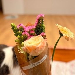 #콘수프기록집 #현명한소비
요즘 식물에 관심이 생기면서, 문득 나를 위한 꽃을 한 번 사보고 싶더라고요. 그래서 부담 없는 가격대의 ‘에코한다발’을 가볍게 들여봤어요.
💐꽃을 잘 아는 편은 아니라 오히려 제철 꽃을 랜덤으로 받아보는 재미가 있었고, 생각보다 훨씬 만족스러웠어요. 소소하지만 확실하게 기분 전환이 되는 느낌이랄까요.
집에 있는 컵에 가볍게 꽂아 홈카페 존에 올려두니 공간 분위기도 한층 화사해졌어요. 큰 비용 들이지 않고도 일상에 작은 변화를 주는 것, 이런 게 요즘 제가 생각하는 현명한 소비인 것 같아요🌿
#봄맞이집꾸미기 #꽃테리어 #맞팔 #KikiMoments