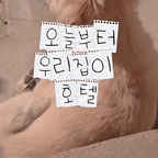 #협찬

락이와 함께 살기 전에는
강아지랑 한 침대에서 자는 걸
솔직히 이해 못 했어요

근데 지금은…
락이 없으면 잠을 못 자요

꼬순내, 따뜻한 체온,
조용한 숨소리까지
저한테는 진짜 보약이에요

다만 문제는 털…😂
같이 자면 이불이 아니라
털을 덮고 자는 느낌일 정도로
털날림이 심하거든요

그래서 침구는 꼭
락이와 저를 위한
알러지케어 제품으로 선택해요

아침에 일어나면
돌돌이로는 감당이 안 되고,
마당에서 털면
홀씨처럼 폴폴 날려요

누비지오 프라임 스트라이프는
국내 최고 수준 320T 알러지케어 원단에
슬림한 볼륨감과 공기층까지 더해져
숙면을 제대로 도와줘요

락이도 인정한 이불 🐶
오늘도 누비지오 하세요 💤 

#락집기록 #침실인테리어 #봄인테리어 #침실스타일링 #침실스타일링 #반려견인테리어 #반려견과함께 #반려견과사는집 #알러지케어침구 #누비지오 #집순이 #꿀잠템

⠀
⠀
⠀
⠀