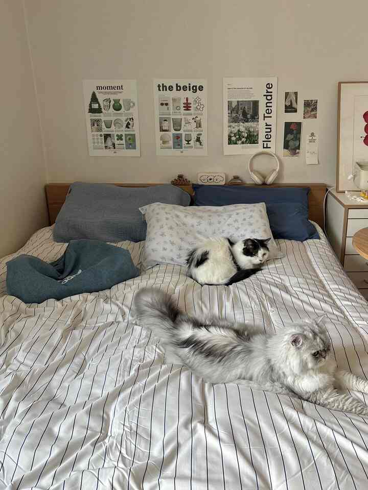 ナチュラルカラーと白を基調とした寝室、ミッドセンチュリーモダンのベッドと2匹の猫がいる落ち着いた空間