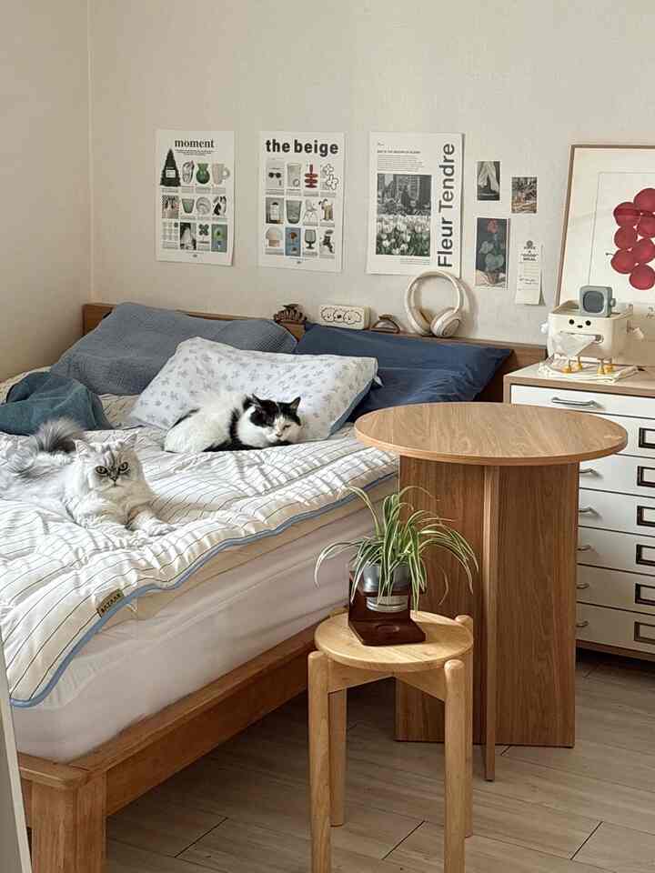 ナチュラルな木目調と白い壁の寝室、ベッドの上でくつろぐ2匹の猫がいる雰囲気のあるインテリア