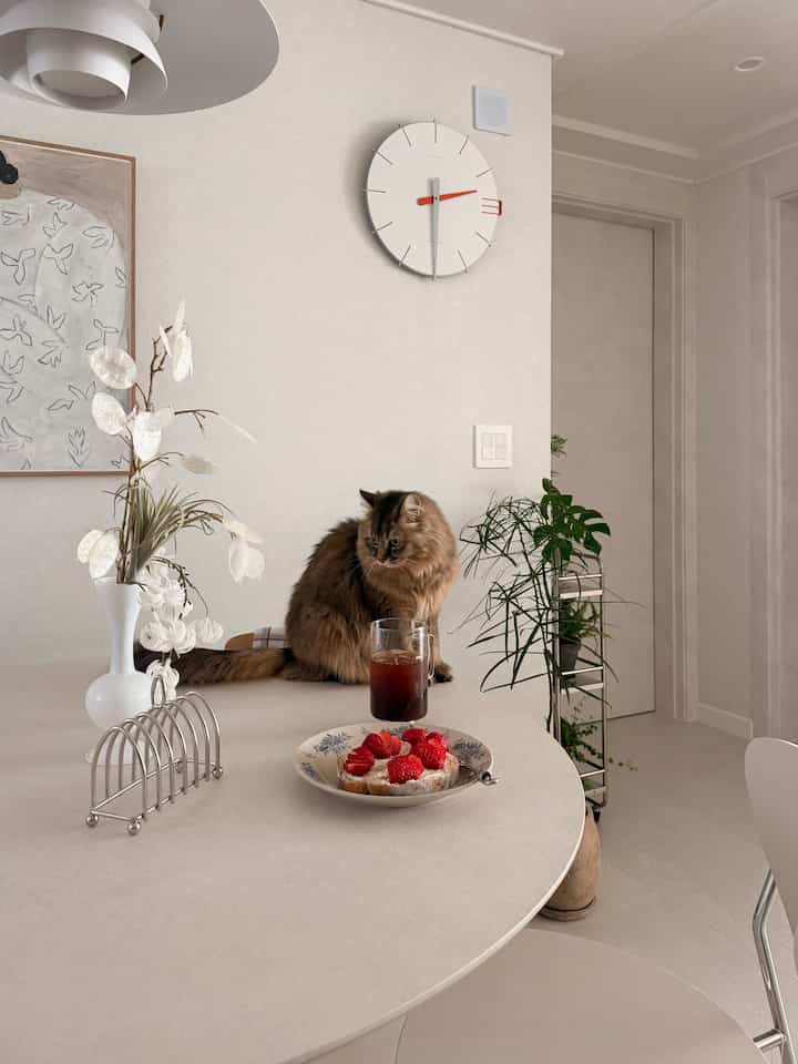 ＃キッチンインテリー＃コンスープ記録集

かわいいチョコと一緒にした昨日のランチ➿🤍

人の食べ物に興味が多い子供だと食べるときは、必ず隣にいます。

食べていると負担になる視線が感じられます。 🫨


最近購入した食卓の上の調和は見るほど好きです..➿🤍 
小さな小物ひとつでダイニングスペースがもっと綺麗になりました。

＃キッチン＃ダイニングルーム＃テープライン＃椅子＃ダイニングテーブル＃セラミックダイニングテーブル＃ダイニングテーブルおすすめ#コンスープ 



