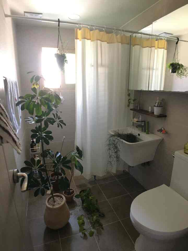  #플랜테리어 #욕실인테리어 #화장실인테리어 #원룸화장실 #8평원룸 #콘수프기록집 #오늘의우리집 