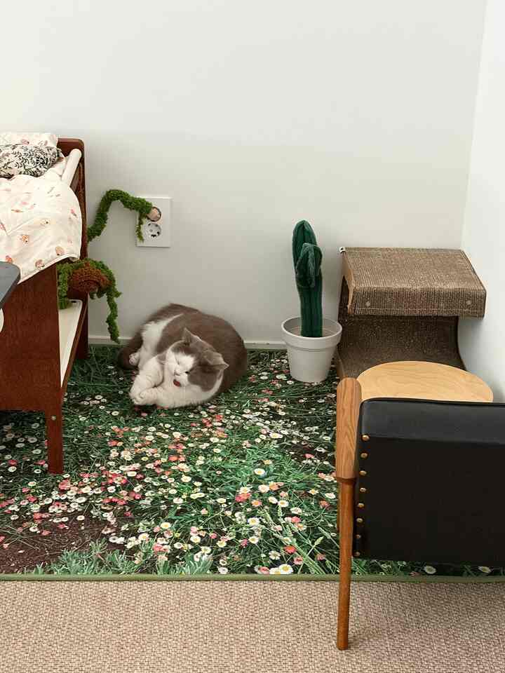 白い壁とナチュラルな木目調の低床ベッドがある寝室、花柄のラグの上でくつろぐ猫とキャットタワーが配置された雰囲気のあるインテリア