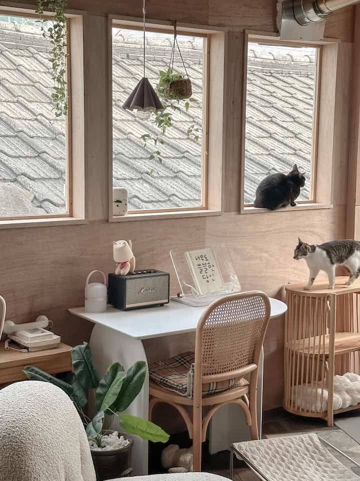 ナチュラルな色調の小さなホームオフィス、窓辺に猫が２匹と植物が配置された雰囲気のある空間