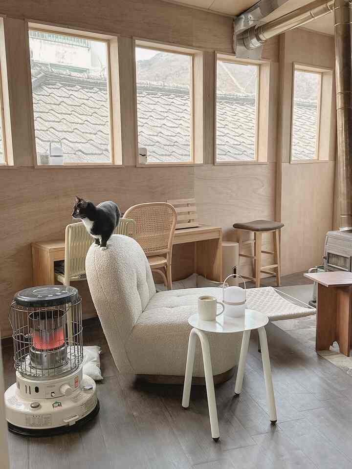 ベージュ色調のダイニングルーム、自然素材の家具と白いアームチェアに猫がいる雰囲気のある空間